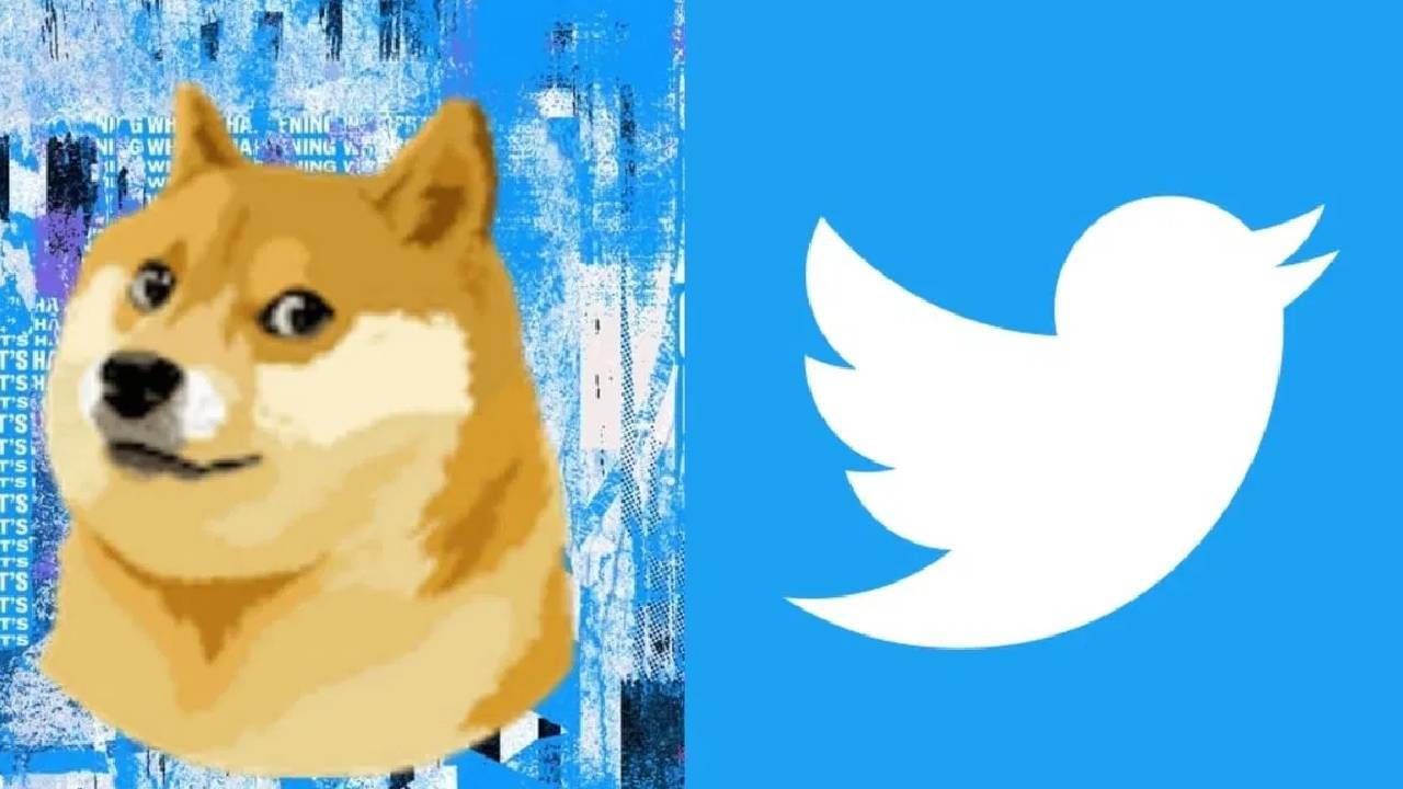 Twitter Logo : उड गया पंछी; Twitter च्या लोगोत बदल ; Elon Musk ने का केली  Doge ची निवड ?