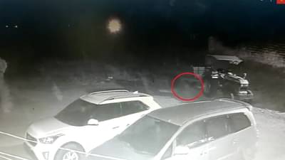 बिबट्या शिकार करून थांबला नाही, तोंडात शिकार करून अख्ख्या गावात फेरफटका मारला, गावकरी धास्तावले...