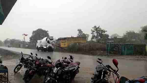 Agricultural News : राज्यात वादळी वाऱ्यासह मुसळधार पाऊस, शेतकऱ्यांची तांराबळ उडाली
