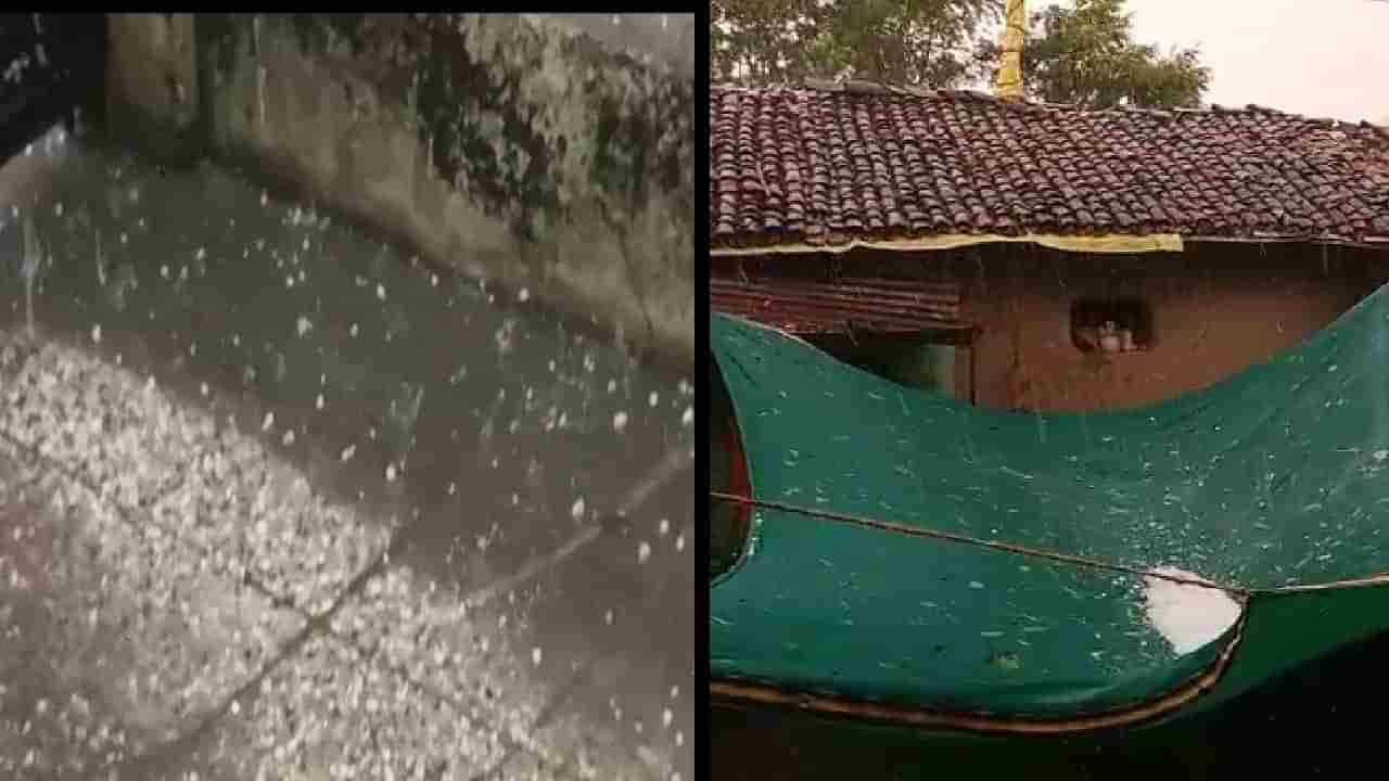 Rain : अवकाळीनं एप्रिल महिन्यातही गाठलं, राज्यात या ठिकाणी गारपीटीचा तडाखा, हवामानाचा अंदाज काय?