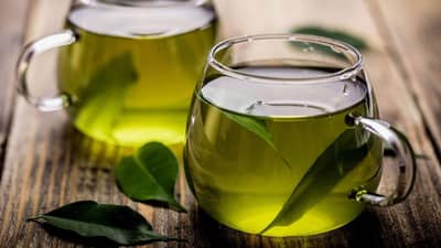 या लोकांनी ग्रीन टी पिऊ नये, कोणत्या आणि का? वाचा