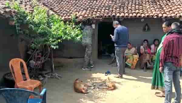 वंशाचा दिवा दिला नाही म्हणून सासू हिणवायची, अखेर सूनेच्या सहनशक्तीचा अंत झाला, मग...