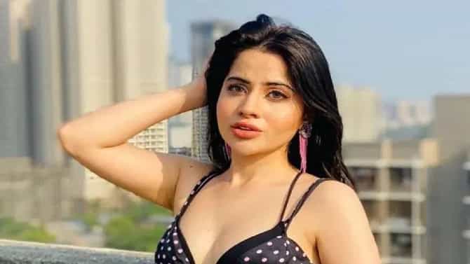 वडीलच पॉर्न स्टार म्हणायचे, तेव्हा वयच काय होतं?, असं काय घडलं तेव्हा?; ऊर्फी जावेदची खळबळजनक मुलाखत