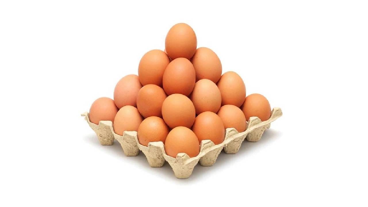 ?? ???? ????? ???? ???? ???? ????? ????? - Marathi News | How many eggs ...