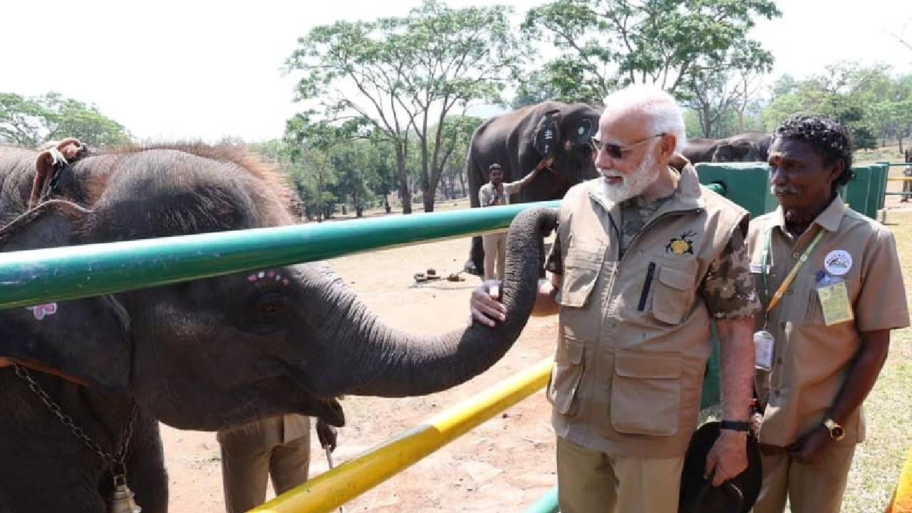 प्रोजेक्ट टायगरच्या 50 वर्षांच्या स्मरणार्थ उद्घाटन सत्रात पंतप्रधान नरेंद्र मोदी आणि इतर मान्यवरांनी टायगरला उभे राहून अभिवादन केले.