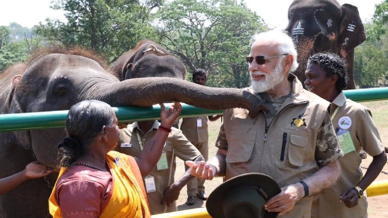 पंतप्रधान नरेंद्र मोदी यांनी ऑस्कर पुरस्कार विजेत्या डॉक्युमेंट्री "द एलिफंट व्हिस्परर्स" चे मुख्य कलाकार बोमन-बेली जोडप्याची भेट घेतली. 