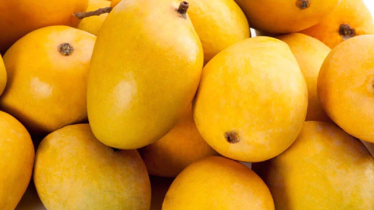 Mango on EMI : रसाळ आंब्याच्या राजाची अनोखी चव चाखा, पैसे हप्त्याने फेडा!