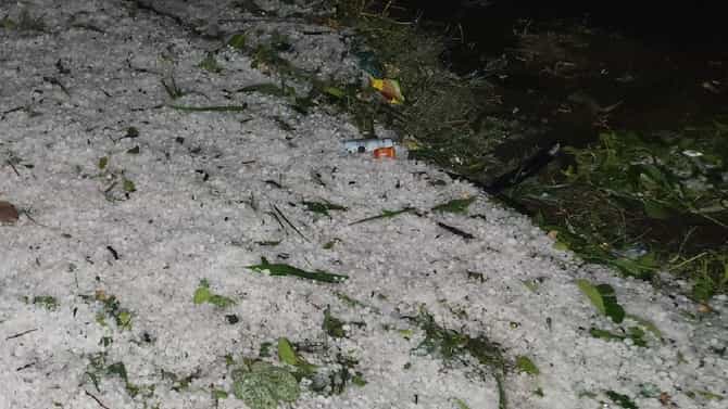 गारपीट झाल्याने बळीराजा हवालदिल; हातातोंडाशी आलेला घासही हिरावून घेतला...