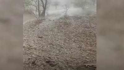 अकोल्यातील ‘या’ भागात गाऱ्याच्या पावसानं झोडपलं, पिकांचं मोठं नुकसान