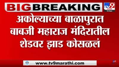 अकोल्यात बाबजी महाराज मंदिर परिसरात मोठी दुर्घटना, झाड कोसळल्याने 7 जणांचा मृत्यू