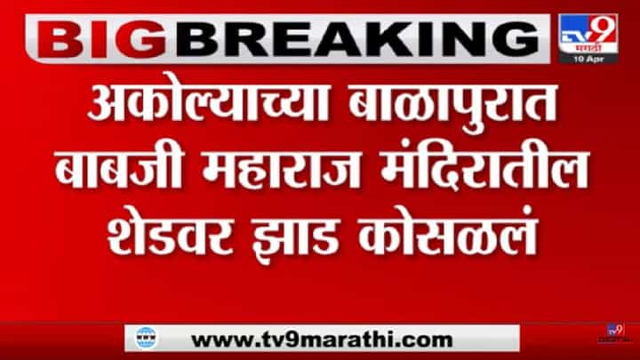 अकोल्यात बाबजी महाराज मंदिर परिसरात मोठी दुर्घटना, झाड कोसळल्याने 7 जणांचा मृत्यू अकोल्यात बाबजी महाराज मंदिर परिसरात मोठी दुर्घटना, झाड कोसळल्याने 7 जणांचा मृत्यू