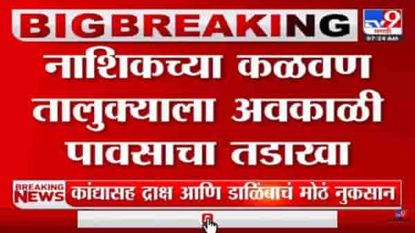 नाशिक जिल्ह्याला अवकाळी पावसासह गारपिटीचा तडाखा, पिकांचं मोठं नुकसान