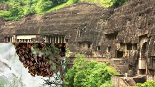 “संजय राऊत म्हणजे कलियुगातील शकुनी मामा”; अयोध्येच्या दौऱ्यानंतर शिवसेनेने राऊतांना घेरले…