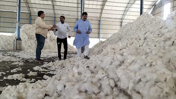 धुळ्यातील शेतकऱ्यांची चिंता मिटली; पांढऱ्या सोन्याचे भाव वाढले धुळ्यातील शेतकऱ्यांची चिंता मिटली; पांढऱ्या सोन्याचे भाव वाढले