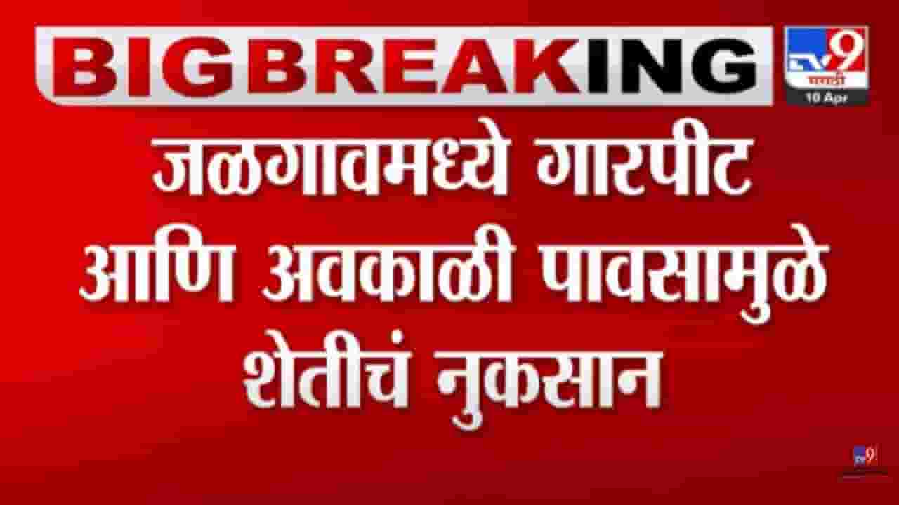 जळगावमध्ये अवकाळी पाऊस, शेतीचं नुकसान; उभी पिकं जमीनदोस्त