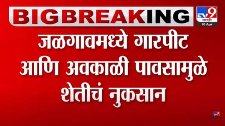 जळगावमध्ये अवकाळी पाऊस, शेतीचं नुकसान; उभी पिकं जमीनदोस्त जळगावमध्ये अवकाळी पाऊस, शेतीचं नुकसान; उभी पिकं जमीनदोस्त