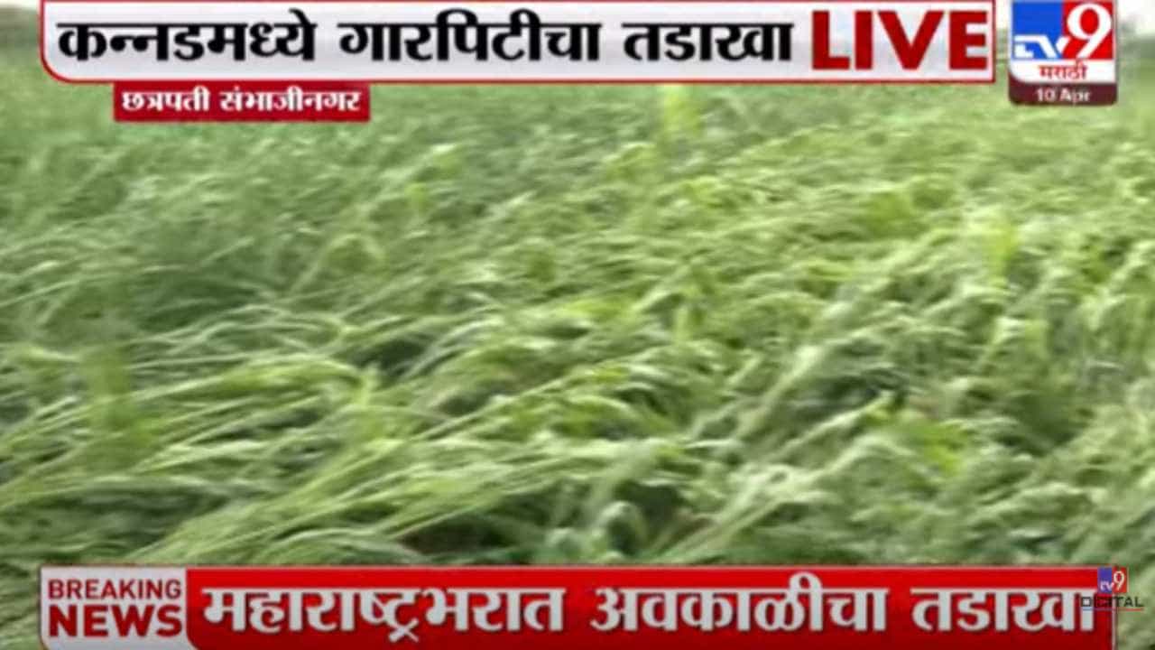 अवकाळी पावसाने शेतकरी संकटात; छत्रपती संभाजीनगरमध्ये कांदा उत्पादक शेतकऱ्यांचं लाखोंचं नुकसान