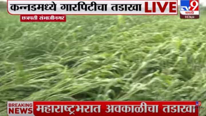 अवकाळी पावसाने शेतकरी संकटात; छत्रपती संभाजीनगरमध्ये कांदा उत्पादक शेतकऱ्यांचं लाखोंचं नुकसान अवकाळी पावसाने शेतकरी संकटात; छत्रपती संभाजीनगरमध्ये कांदा उत्पादक शेतकऱ्यांचं लाखोंचं नुकसान
