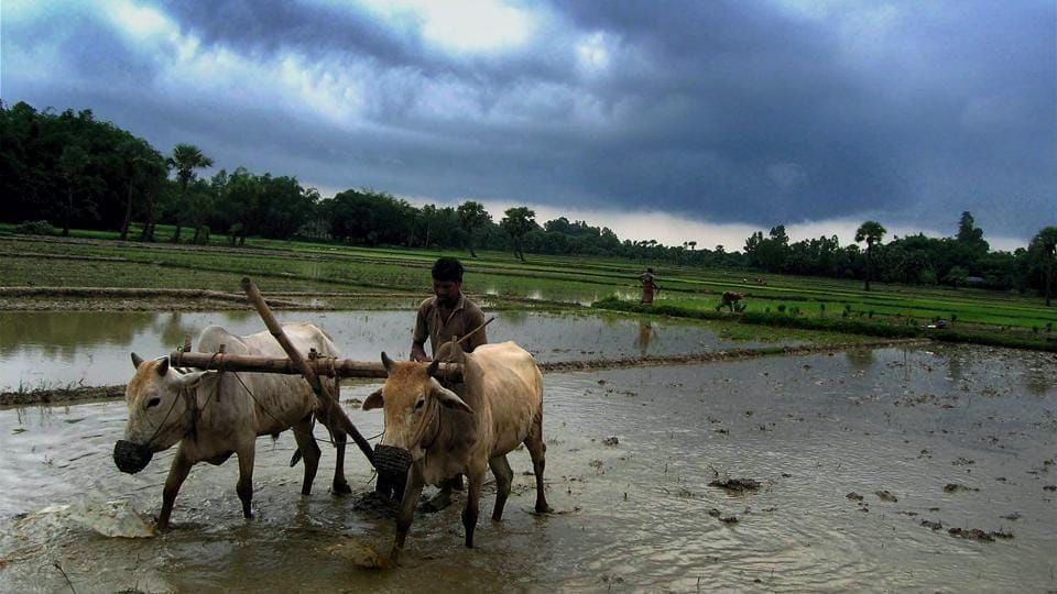 गारपीट, अवकाळीनंतर बळीराजापुढे पुन्हा संकट, आता स्कायमेटच्या अंदाजाने वाढवली चिंता