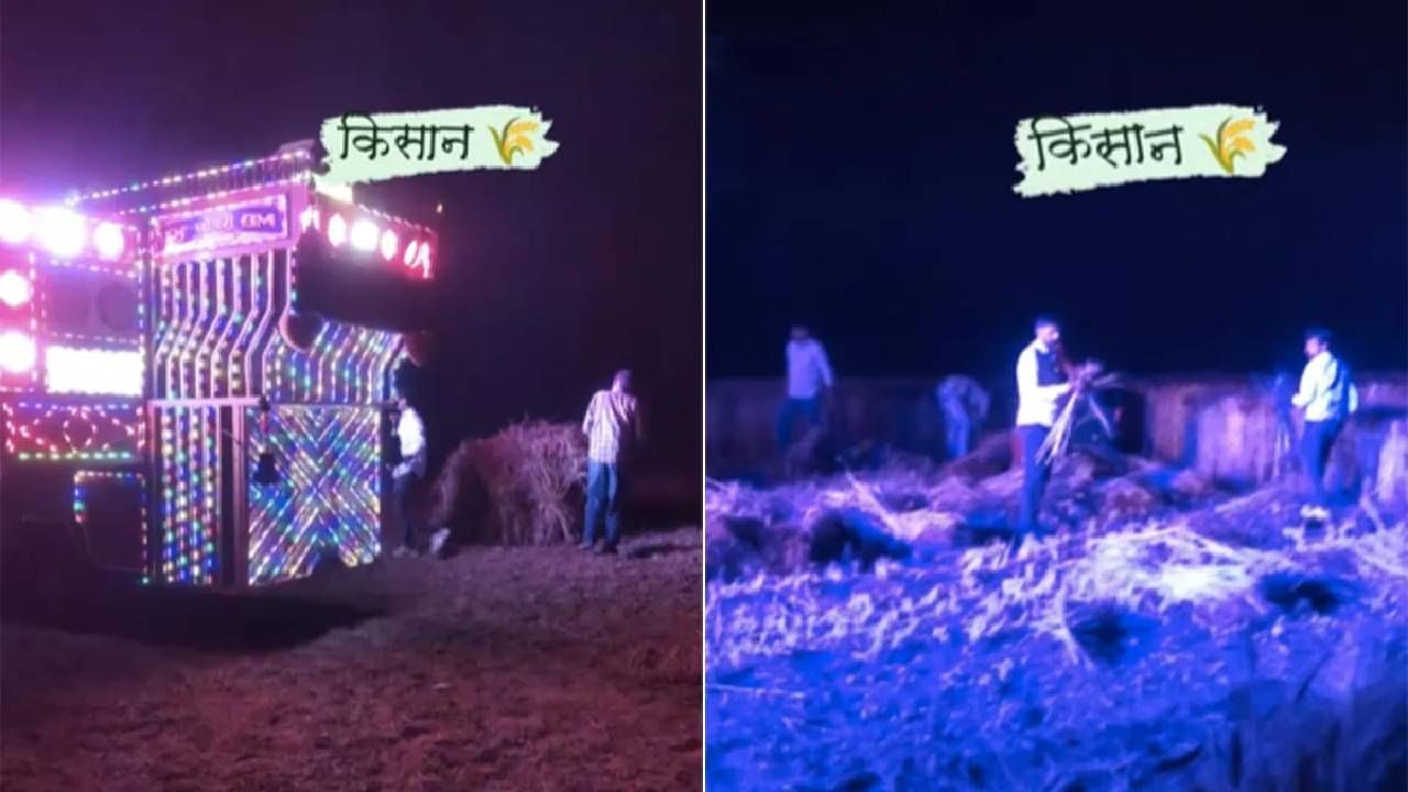 VIDEO | शेतात डीजे लावून गव्हाची कापणी, शेतकऱ्यांचा जुगाड पाहून नेटकरी म्हणतात...