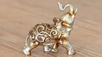 Vastu Tips : वास्तूशास्त्रात हत्तीच्या मुर्तीला आहे विशेष महत्त्व, या दिशेला ठेवल्याने होतो धनलाभ