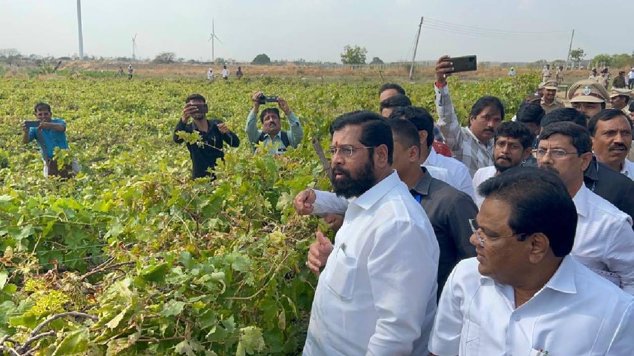  मुख्यमंत्री हा शेतकऱ्याचा मुलगा; शेताच्या बांधावरून एकनाथ शिंदे यांनी विरोधकांना सुनावलं