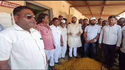 सदाभाऊ खोत संतपाले, RTO ऑफिसमध्ये हळदीचे पोते पालथे, लिलाव सुरु, सौदा करायचाय माझ्या बापाचा.. काय झाली भानगड?