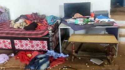 डोळ्यादेखत 220 पाळीव डुकरे, 200 किलो काजू चोरटे सगळचं केलं लंपास; कुटुंबीयांकडे हताशपणे पाहण्याशिवाय पर्यायच नव्हता..