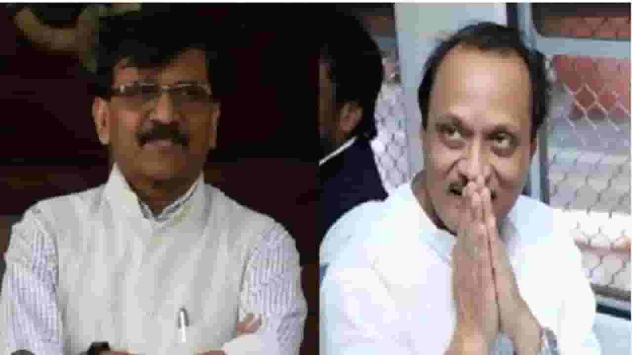 अजित पवारांनी समज दिल्याने संजय राऊत..., शिवसेनेच्या नेत्याची टीका