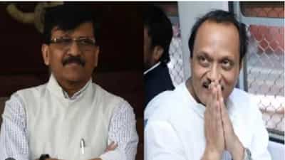 “अजित पवारांनी समज दिल्याने संजय राऊत…”, शिवसेनेच्या नेत्याची टीका