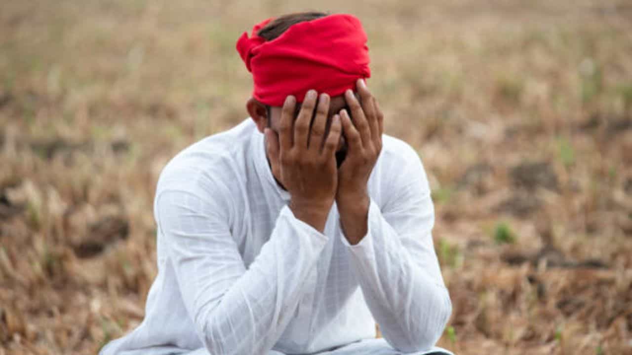 शेतकऱ्यांसमोर पुन्हा मोठं संकट, ‘या’ जिल्ह्यांमध्ये पाऊस आणि गारपिटीची शक्यता