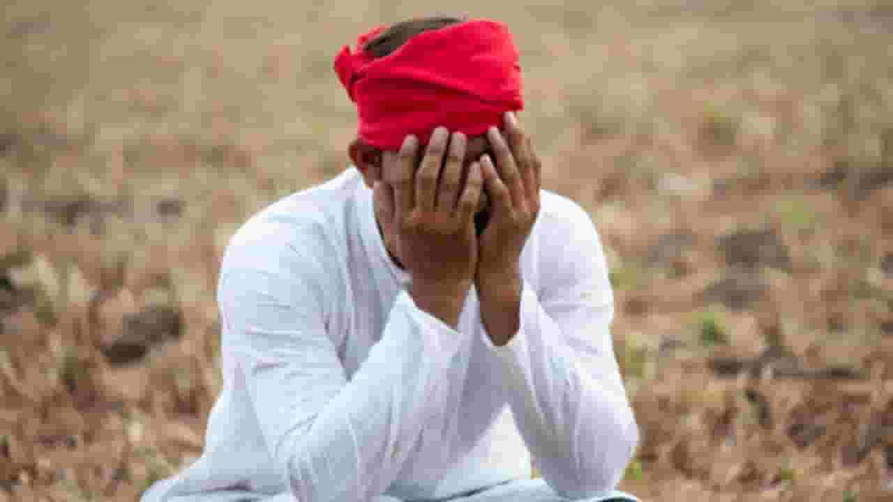 बळीराजा पुन्हा संकटात सापडणार? राज्यात 'या' ठिकाणी पुढील ५ दिवस अवकाळीचा इशारा बळीराजा पुन्हा संकटात सापडणार? राज्यात 'या' ठिकाणी पुढील ५ दिवस अवकाळीचा इशारा