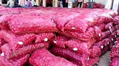 भुसावळच्या या कांद्याला परराज्यात मागणी, काय आहे या कांद्याची विशेषता?