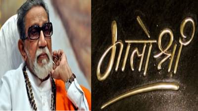 ‘आता मातोश्रीचं पावित्र्य राहिलं नाही’, भाजप नेत्यानं स्पष्टच सांगितली सध्यस्थिती