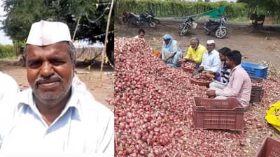 बायकोचं मंगळसूत्र गहाण ठेऊन शेती फुलवली, जोमदार पीकही आलं; पण निसर्गाने घात केला आणि नको ते घडलं...