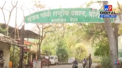 ठाणेकरांनो… येऊरला जाताय? ‘या’ वेळेनंतर बाहेर पडता येणार नाही, काय आहे कारण?