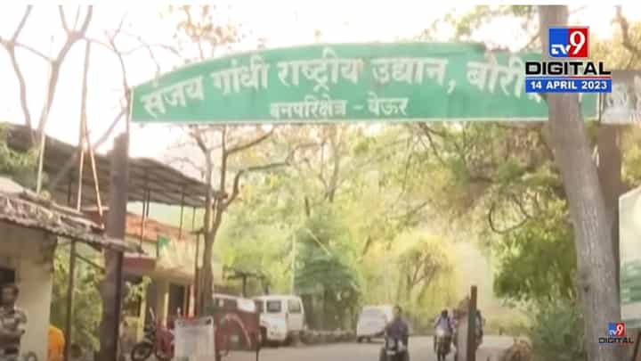 ठाणेकरांनो... येऊरला जाताय? 'या' वेळेनंतर बाहेर पडता येणार नाही, काय आहे कारण? ठाणेकरांनो... येऊरला जाताय? 'या' वेळेनंतर बाहेर पडता येणार नाही, काय आहे कारण?