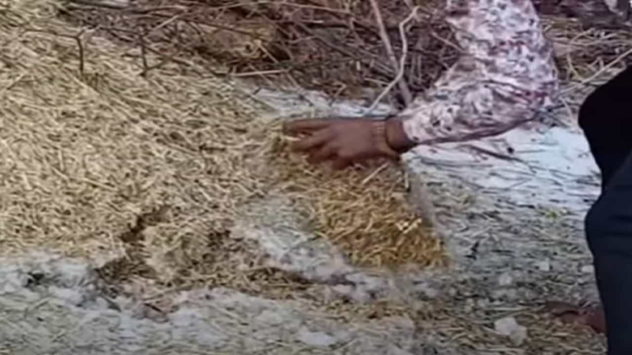 बीडमध्ये वादळी वाऱ्यासह गारपीट, १४ तासांनंतर 'या' गावात गारांचा खच, बघा व्हिडीओ