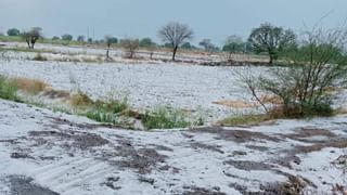 कुठे गारांचा पाऊस, तर कुठे सूर्य कोपला, ‘या’ दोन शहरात उष्णतेची लाट; हवामानाचा अंदाज काय?