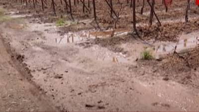 गारपीट, अवकाळीनंतर प्रशासन कामाला, ‘या’ भागात पंचनामे युद्धपातळीवर सुरू