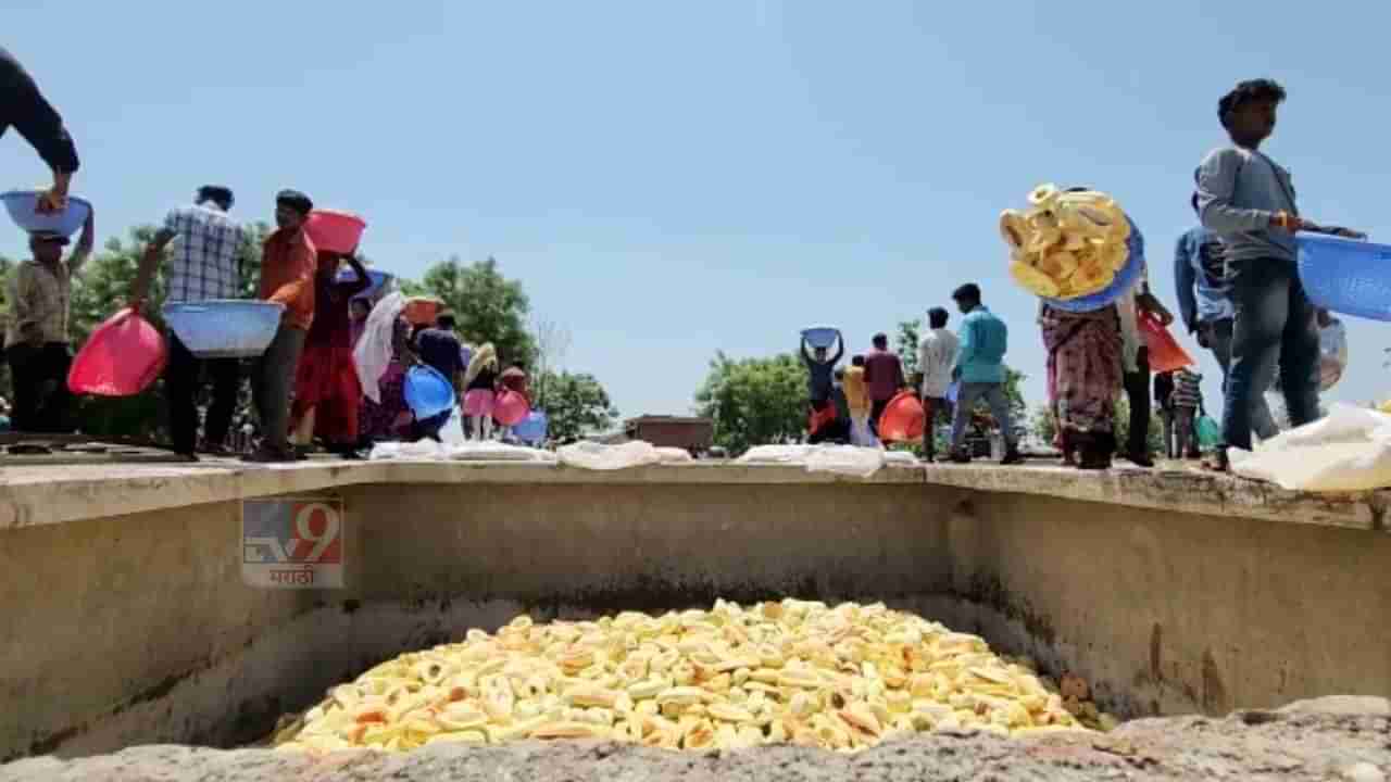 पपईच्या प्रक्रिया उद्योगातून मिळतो चार महिने रोजगार, या जिल्ह्यात पपईवरील प्रक्रिया उद्योग