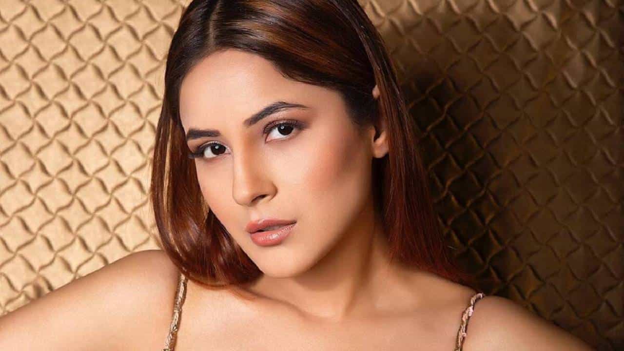 शहनाज गिल ही गेल्या काही दिवसांपासून प्रचंड चर्चेत आहे. शहनाज गिल ही बाॅलिवूडमध्ये डेब्यू करण्यासाठी तयार आहे. सलमान खान याच्या चित्रपटामध्ये काम करण्याची सुवर्णसंधी ही शहनाज गिल हिला मिळालीये.