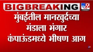 Special report | रखरखत्या उन्हात महाराष्ट्र भूषण पुरस्कार सोहळ्याचा अट्टहास का? १४ कोटी खर्च तरीही श्रीसेवकांची अबाळ