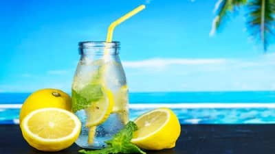 अवघ्या 10 रुपयांत मिळणाऱ्या या पदार्थांचा रुटीनमध्ये करा समावेश, उष्माघाताचा होणार नाही त्रास