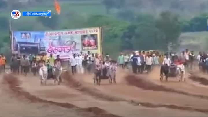 पुण्यात काळभैरवनाथ यात्रेनिमित्त बैलगाडा शर्यतीचा थरार, कुणी मारलं मैदान? पुण्यात काळभैरवनाथ यात्रेनिमित्त बैलगाडा शर्यतीचा थरार, कुणी मारलं मैदान?