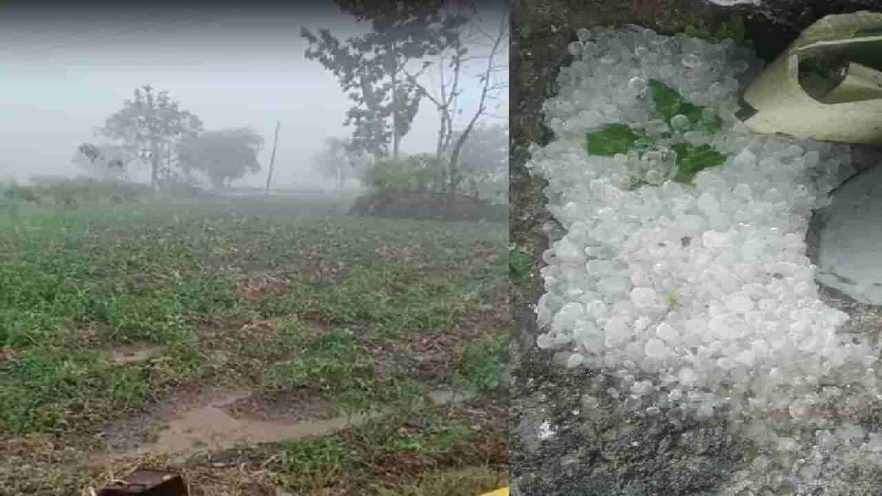 अवकाळीची मदत लवकरच मिळणार, जिल्हाधिकाऱ्यांकडून महत्वाचे आवाहन, पालन न केल्यास मदतीला मुकावे लागणार