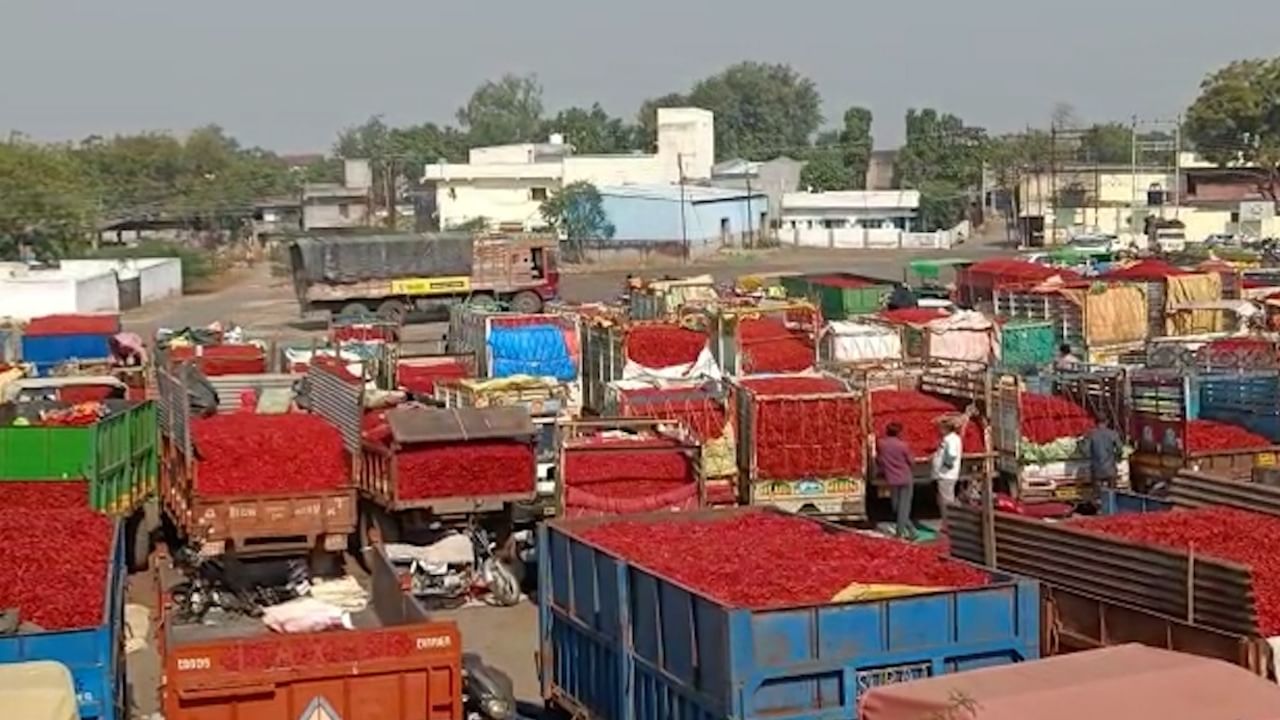 Nandurbar | खा की खा, तिखट! मिरचीचं उत्पादन वाढलं; चटणीची चिंता मिटली