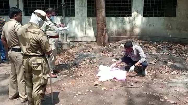हृदय पिळवटून टाकणारी बातमी; कोल्हापुरात दोन अर्भकांचे कुत्र्यांनी तोडले लचके हृदय पिळवटून टाकणारी बातमी; कोल्हापुरात दोन अर्भकांचे कुत्र्यांनी तोडले लचके