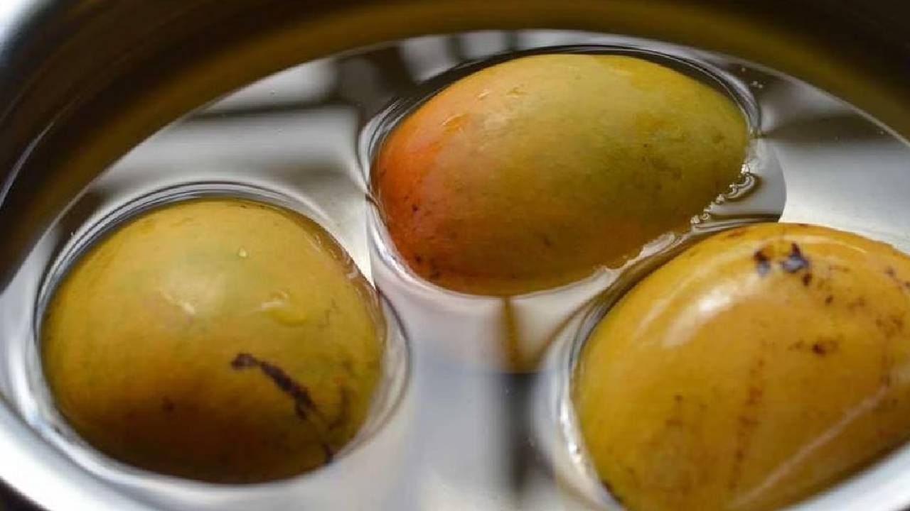 खाण्याआधी आंबा पाण्यात भिजवून ठेवावा की नाही ? काय होतो फायदा ?
