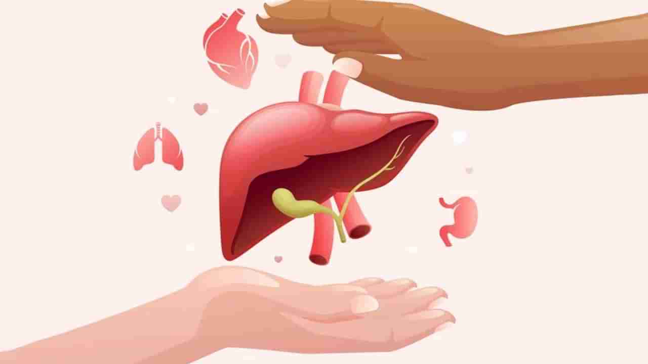 Health News : दारु न पिणाऱ्यांनाही असतो लिव्हर खराब होण्याचा धोका, नेमकं काय आहे कारण?